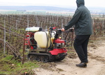 bouse-de-corne-jour-racine-biodynamie